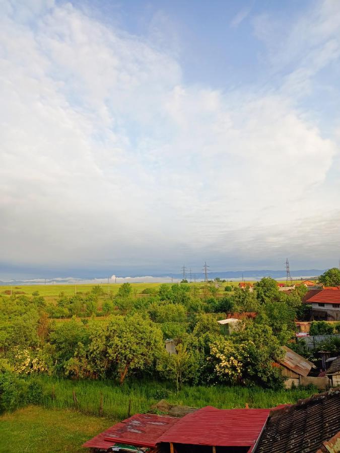 Casa Edental Hotel Orăştie Eksteriør billede